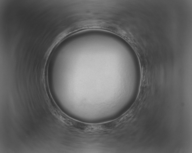 X0000083000099200702230137