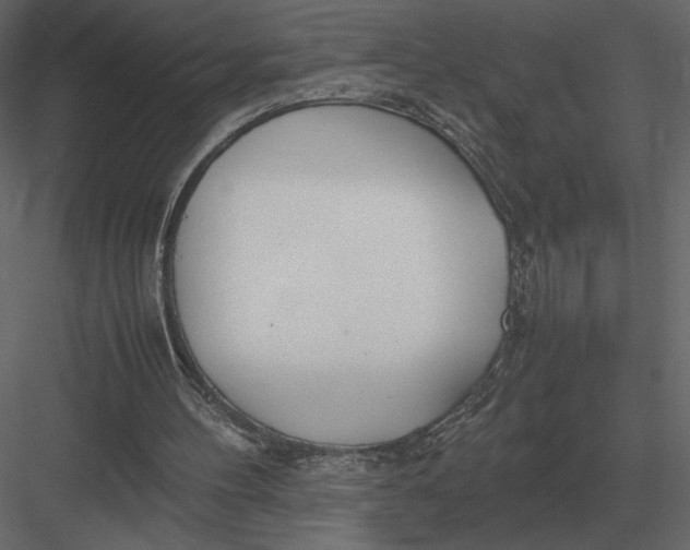 X0000083000100200702230137