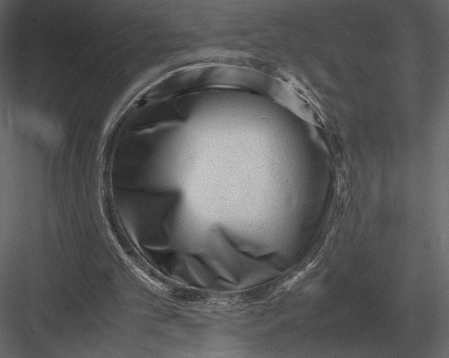 X0000083000101200702230137