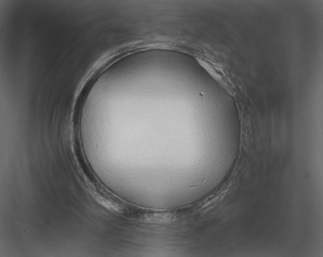 X0000083000102200702230137