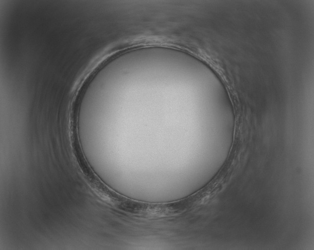 X0000083000103200702230137