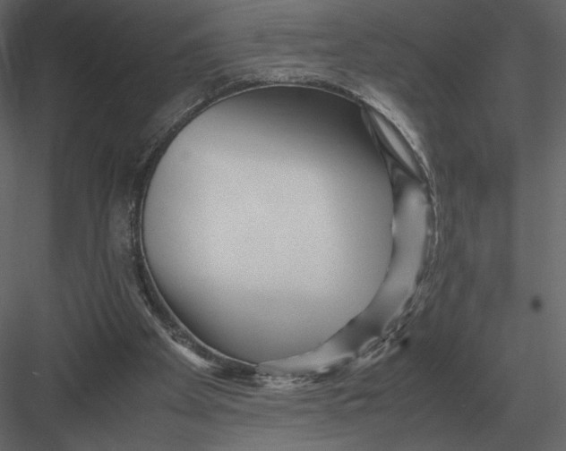 X0000083000105200702230137