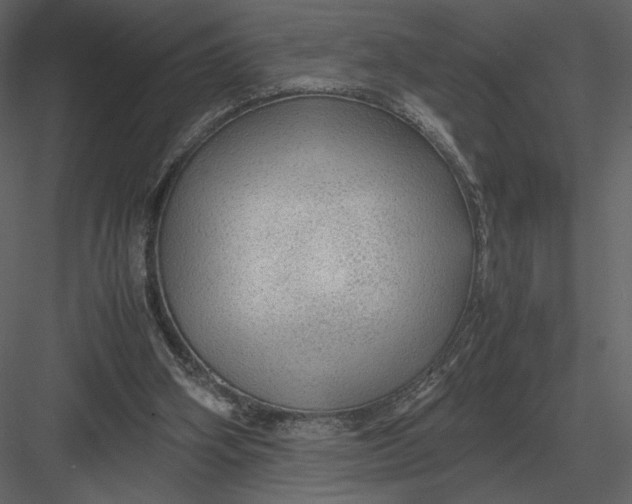 X0000083000106200702230137