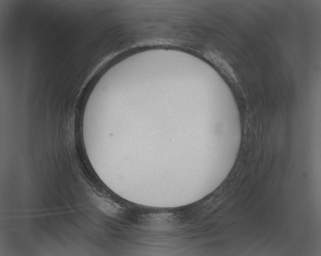 X0000083000108200702230137