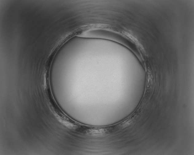 X0000083000110200702230137