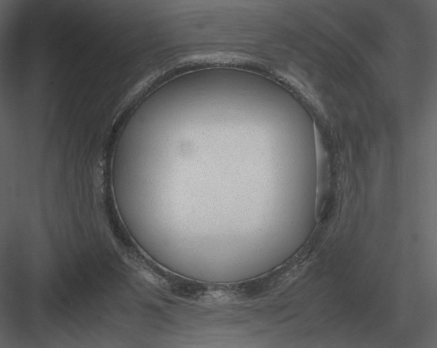 X0000083000111200702230137