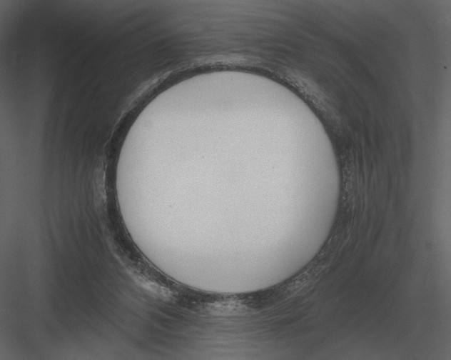 X0000083000112200702230137