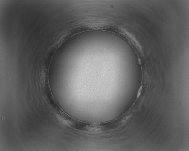 X0000083000113200702230137