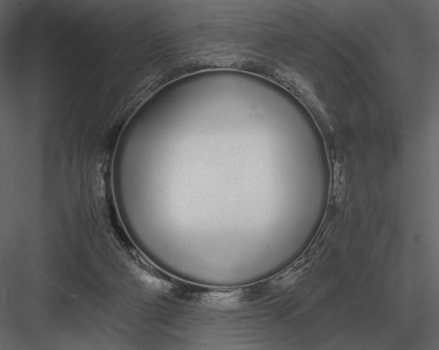 X0000083000114200702230137