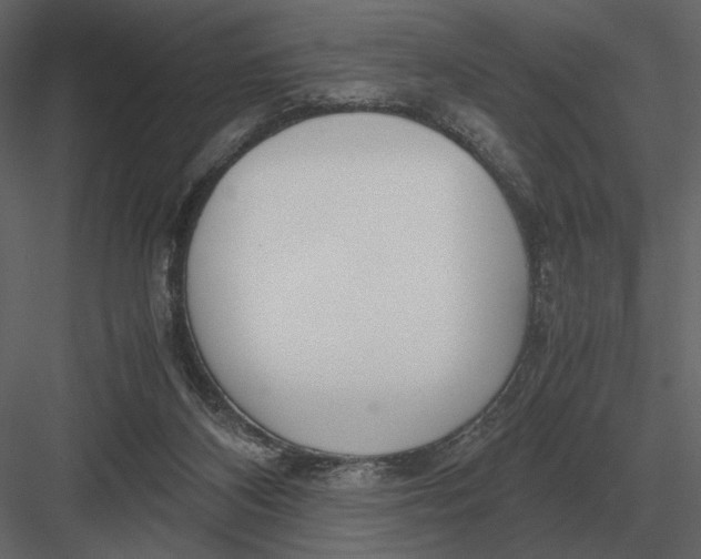 X0000083000116200702230137