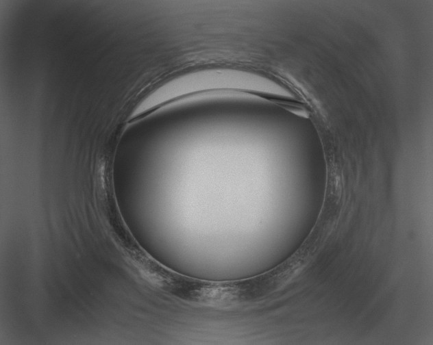 X0000083000117200702230137