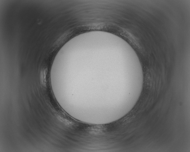 X0000083000118200702230137