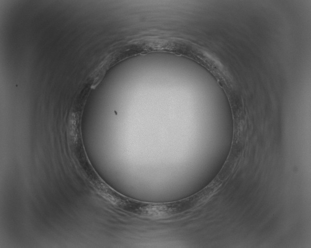 X0000083000121200702230137