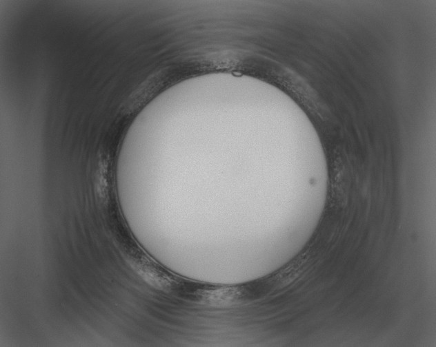 X0000083000122200702230137