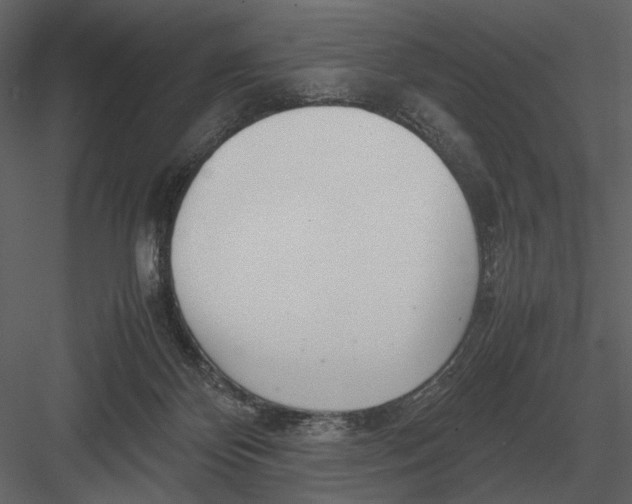 X0000083000124200702230137