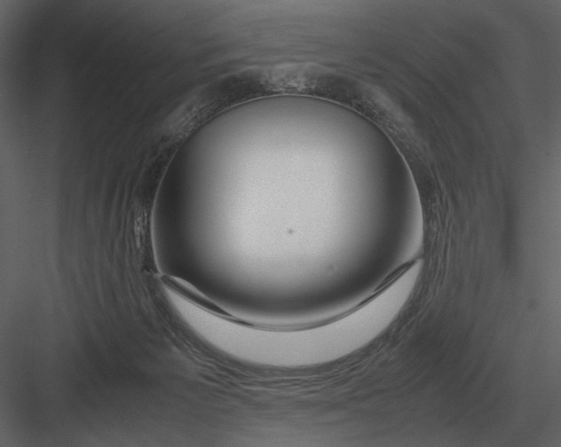 X0000083000125200702230137