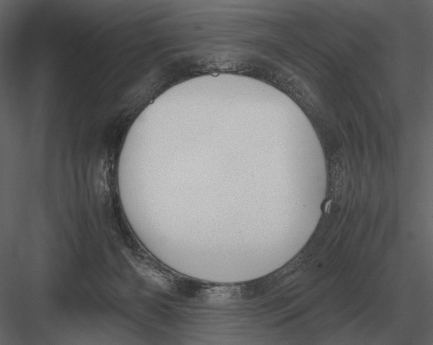 X0000083000126200702230137