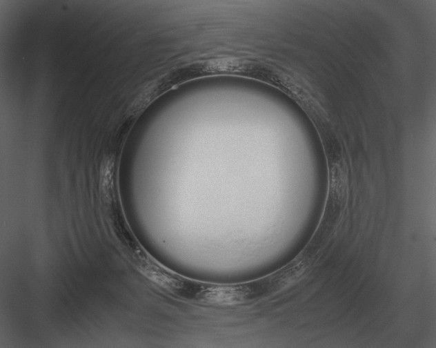 X0000083000127200702230137