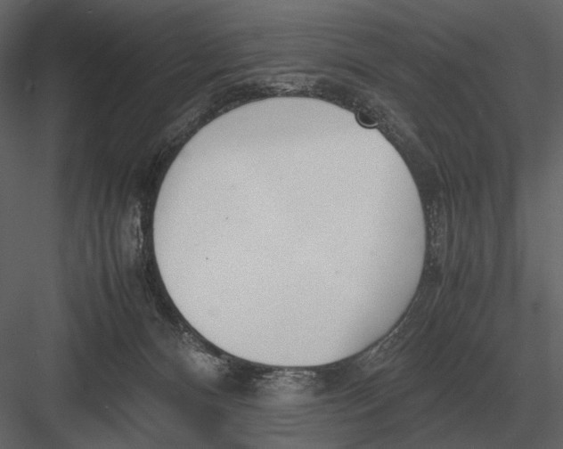 X0000083000128200702230137