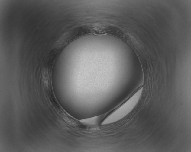 X0000083000129200702230137