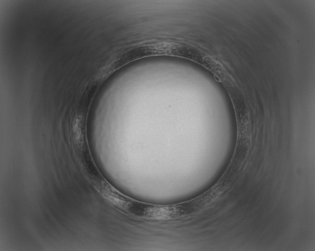 X0000083000131200702230137