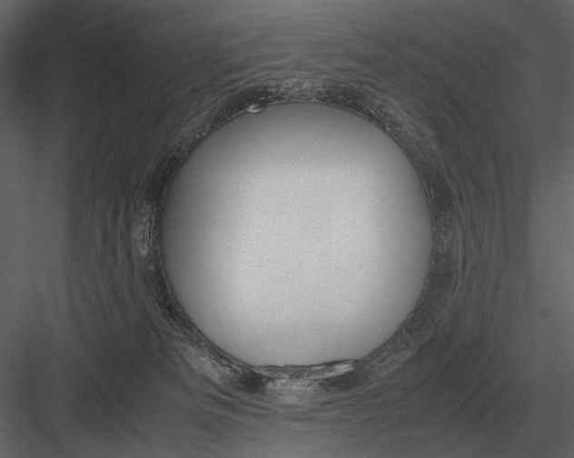 X0000083000133200702230137