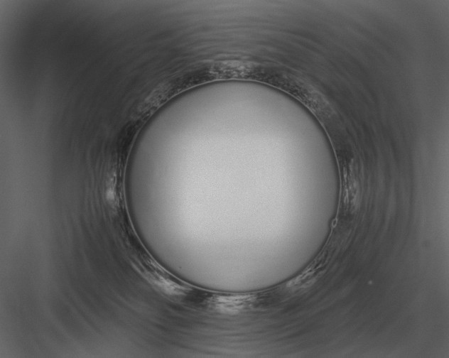 X0000083000134200702230137