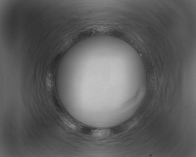 X0000083000135200702230137