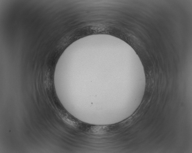 X0000083000136200702230137