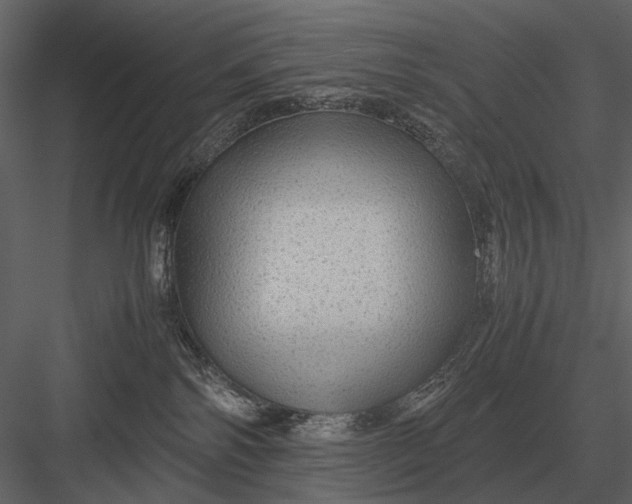 X0000083000138200702230136