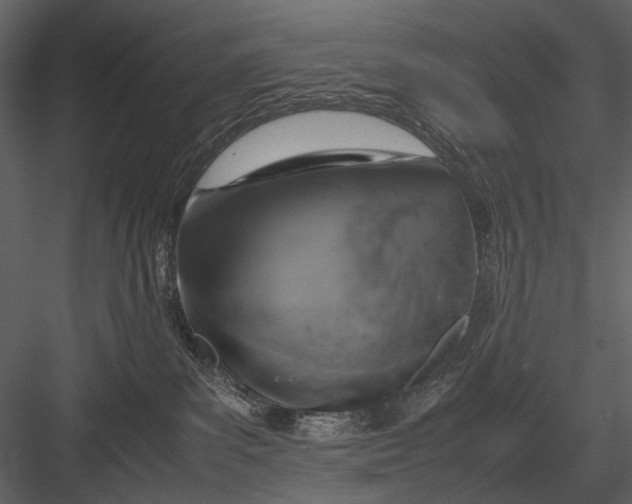 X0000083000139200702230136