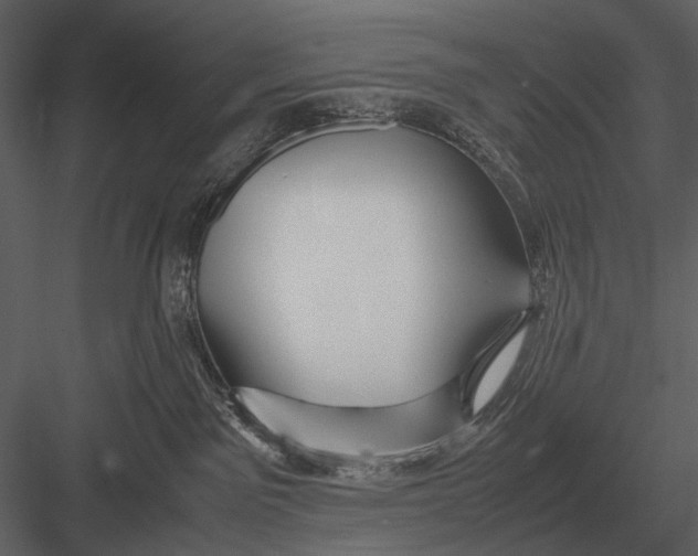 X0000083000141200702230136