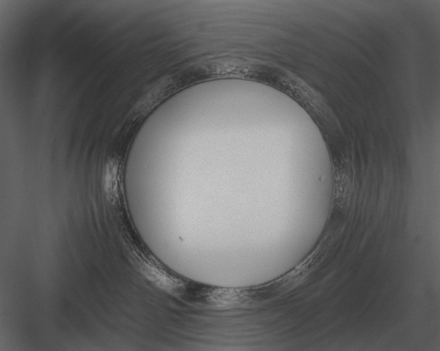 X0000083000142200702230136