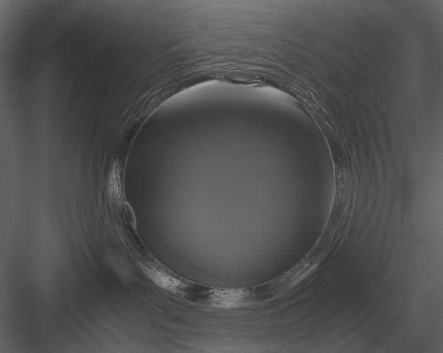 X0000083000143200702230136