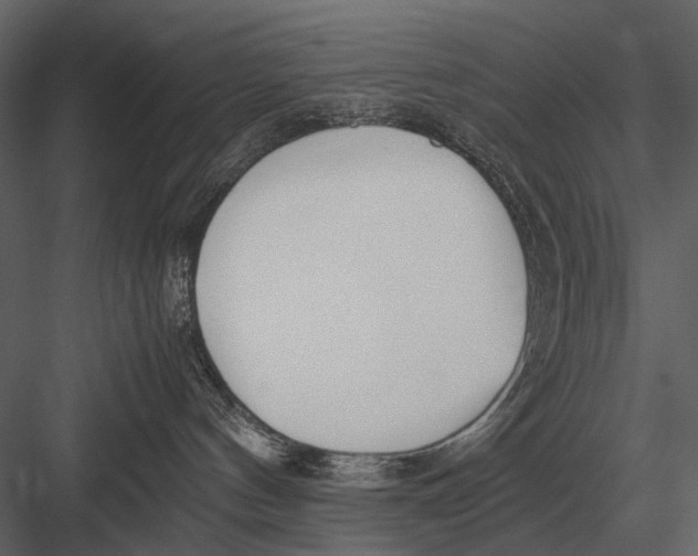 X0000083000144200702230136