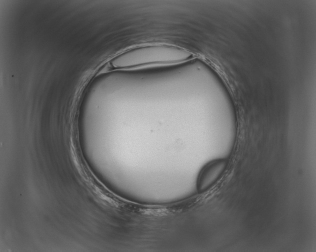 X0000083000145200702230136