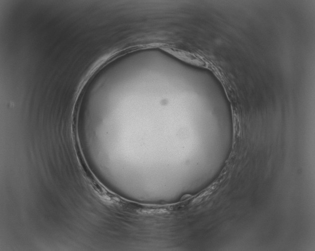 X0000083000147200702230136