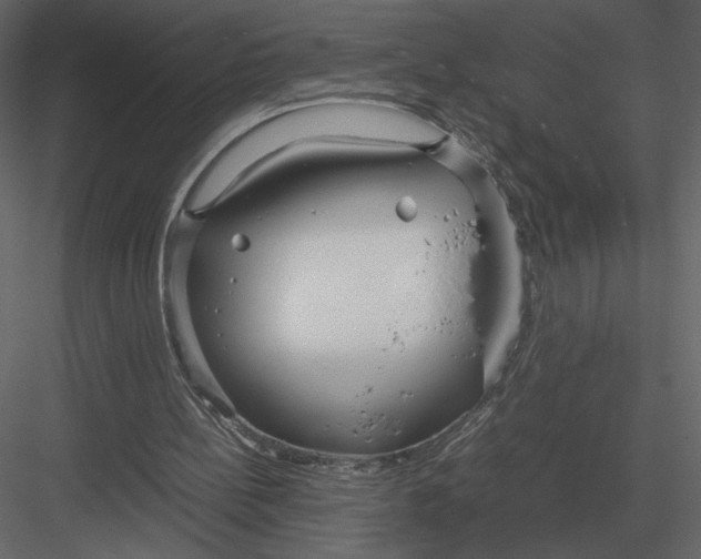 X0000083000148200702230136