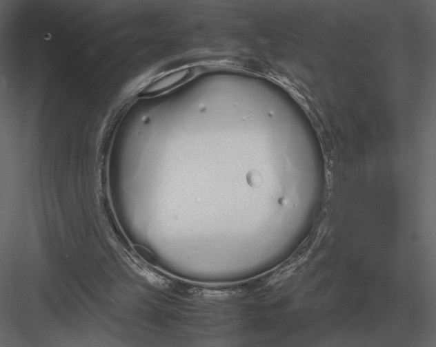 X0000083000149200702230136