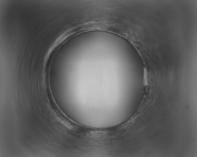 X0000083000150200702230136