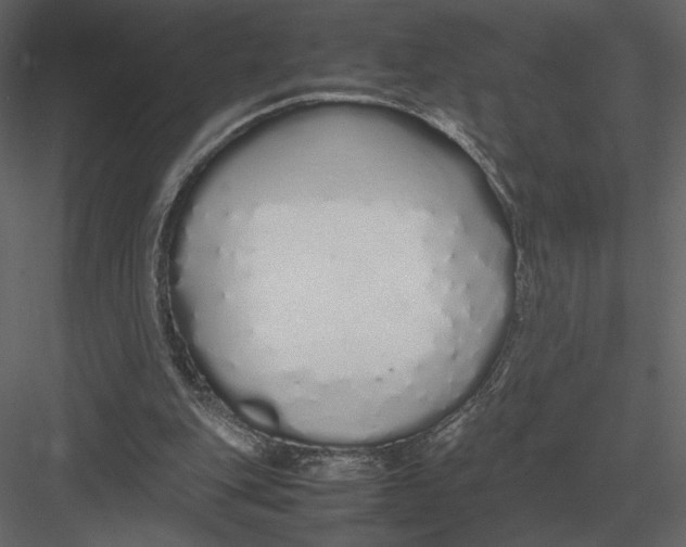 X0000083000151200702230136