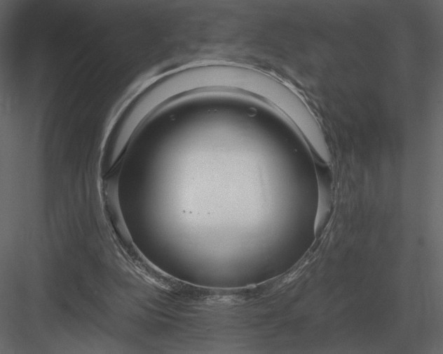 X0000083000152200702230136