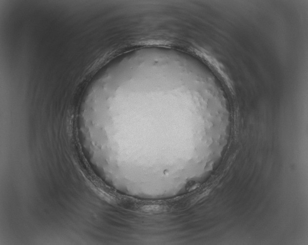 X0000083000153200702230136