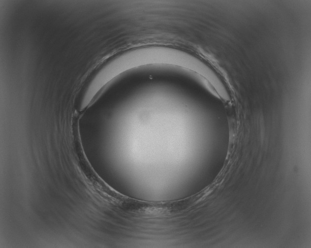 X0000083000154200702230136