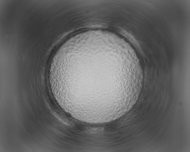 X0000083000155200702230136