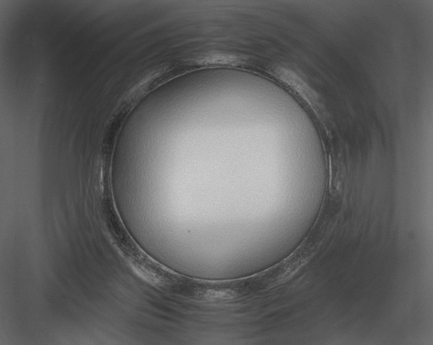 X0000083000157200702230136