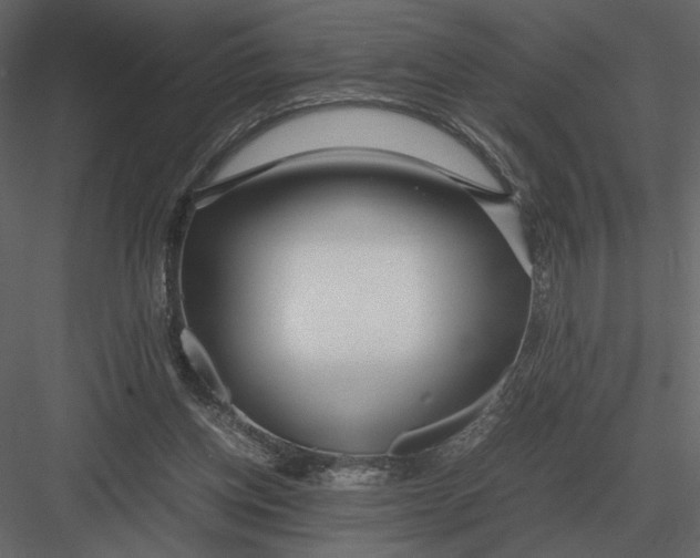 X0000083000158200702230136