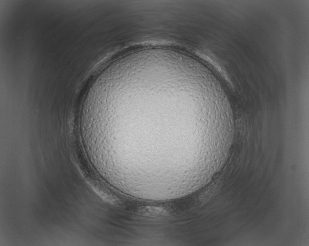 X0000083000159200702230136