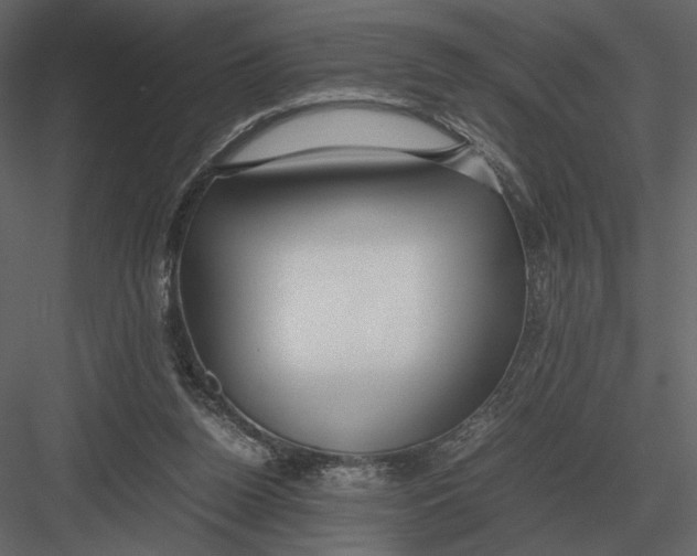 X0000083000160200702230136