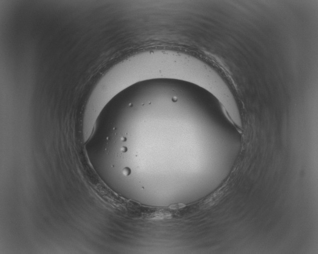 X0000083000162200702230136